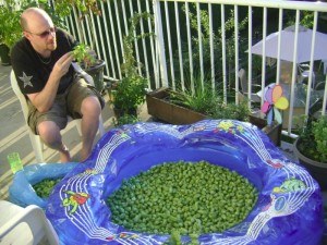 hops2011_1